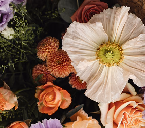 Flores en oferta en Bilbao | Floristería barata | Floristería Santutxu